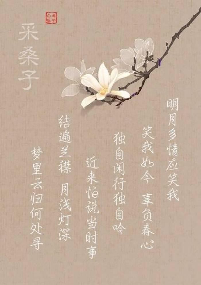 诗词,最美不过纳兰词