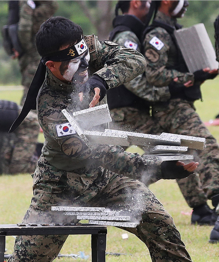 韩国陆军特战队司令部举行部队驻地迁移纪念活动,特种兵在活动上表演