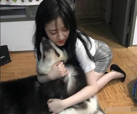 内涵段子:女神的膝盖受伤了,我心好痛