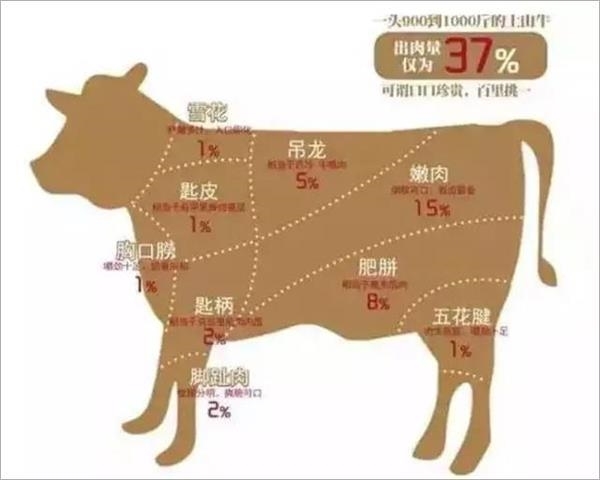 店家还会在菜单上贴一张详细解读牛各个部位的图,让人一目了然
