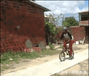 搞笑gif:当猴哥走在马路上,一场恶战在所难免