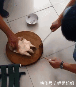 搞笑gif:还好乌龟机智的更胜一筹呢