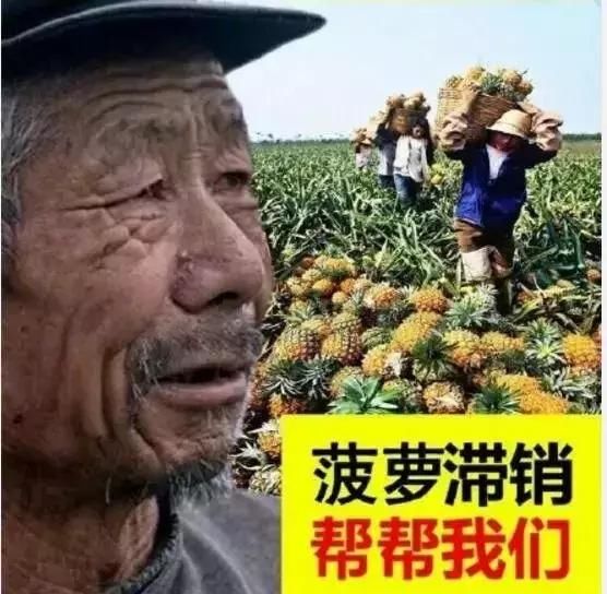 第一网红大爷,全国滞销农产品半数以上都和他有关系