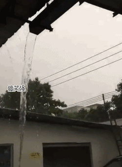 搞笑gif:姑娘,你平时都是这样下床的吗?