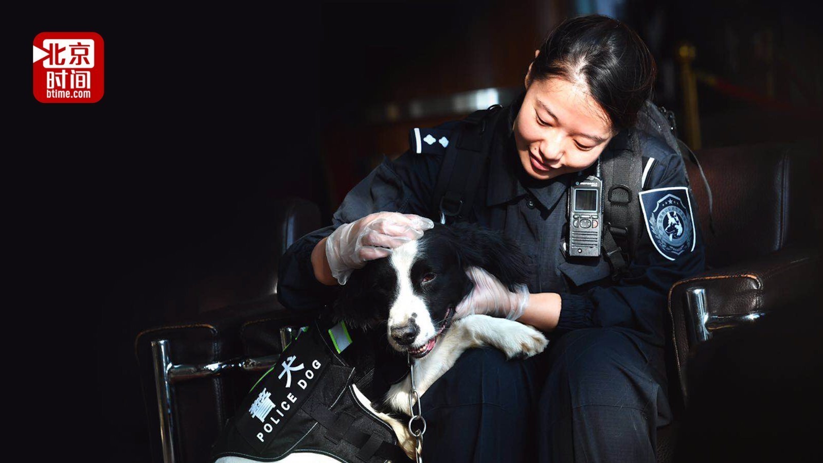 全国警犬决赛唯一女训导员:犬和我也需要对上眼神