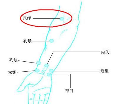 取此穴位时应让患者采用正坐,仰掌并微曲肘的取穴姿势.