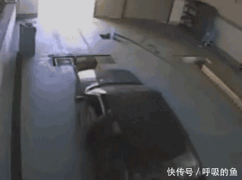 搞笑gif:太过分了啊,别以为装盲人就可以为所欲为