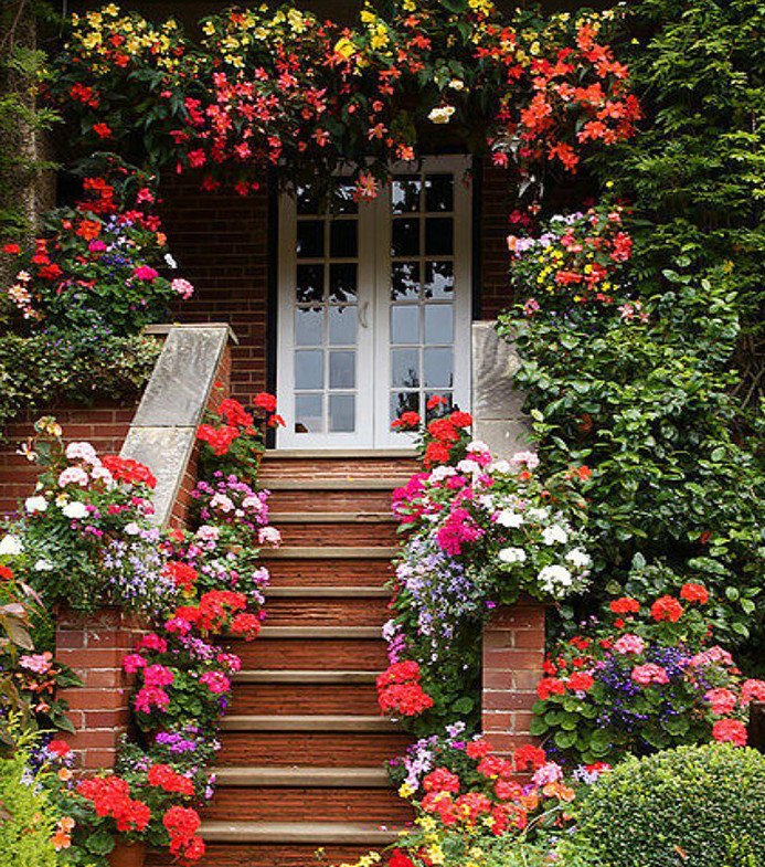 有钱人家的庭院,都是不满了花墙,用这些蔷薇花打造,又