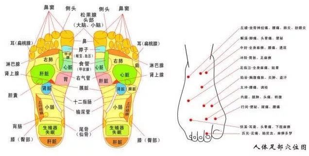 分布着60多个穴