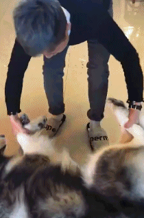 精选文章: 搞笑gif:本以为是个王者,但跪下的那一刻… 搞笑gif:泡面