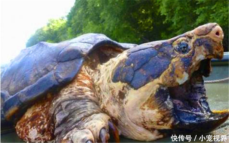 男子河里看见一个大洞,好奇伸手进去,掏出的物体让他惊住