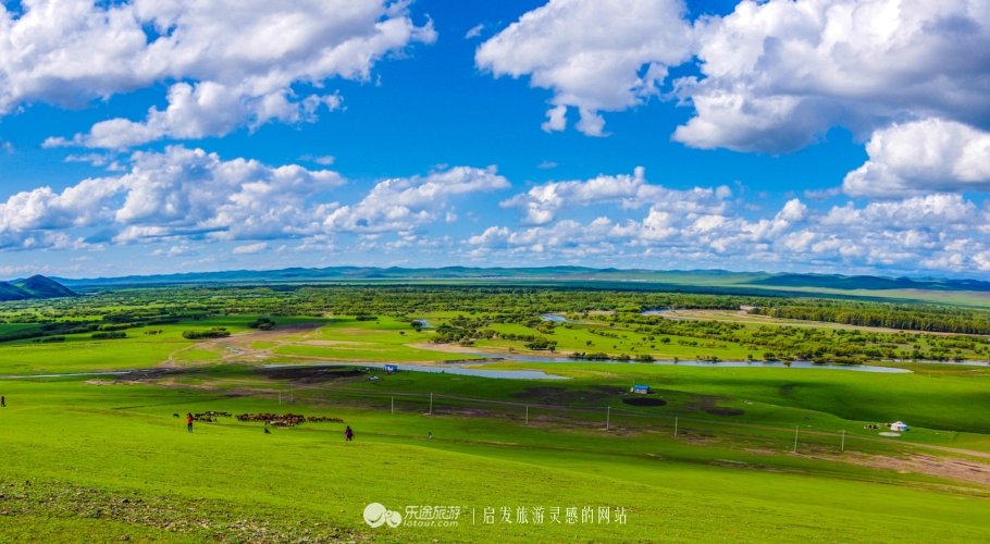 走进额尔古纳,到拉布大林湿地撒点野