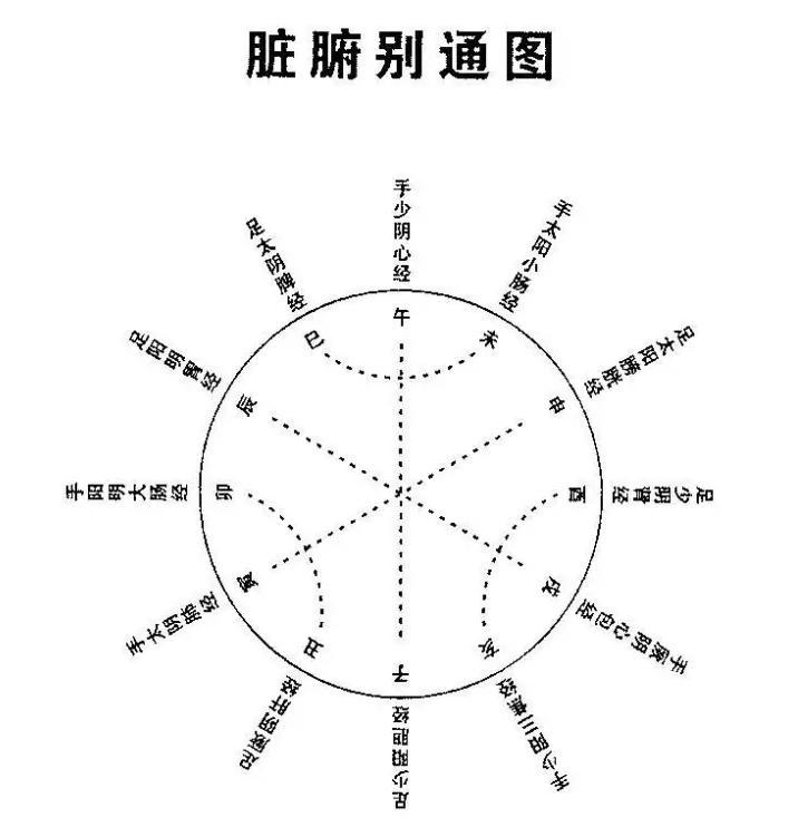 中医师承宗筋疗法-五行的应用