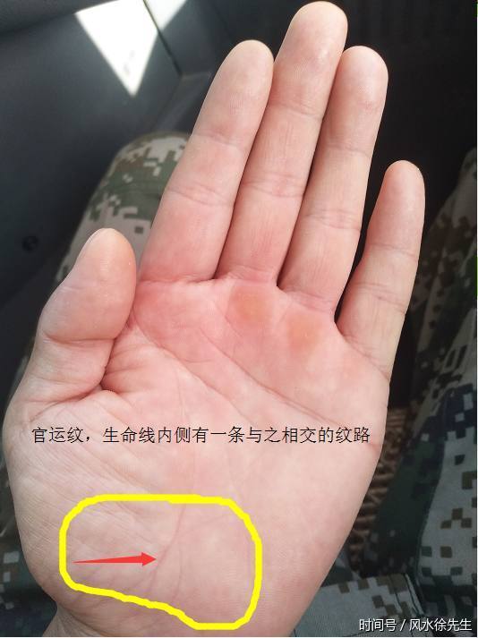 都说老实人没人喜欢,其实你错了,这种手相的人感情专一而且