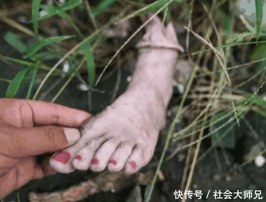 男子河边洗澡 发现一只"断脚 仔细一看男子吓得腿都发软了!