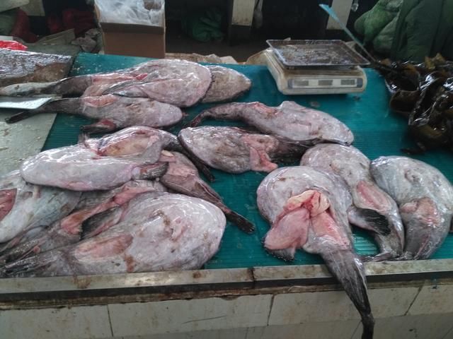 梦境解析，急求同时梦到鱼和老鼠的深层含义