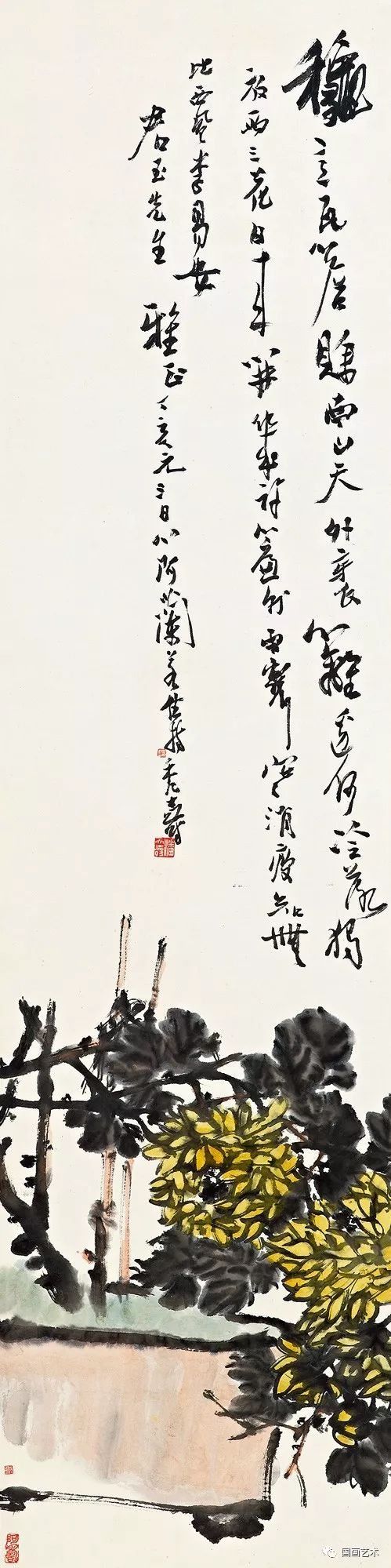 现当代名家:潘天寿画菊作品欣赏