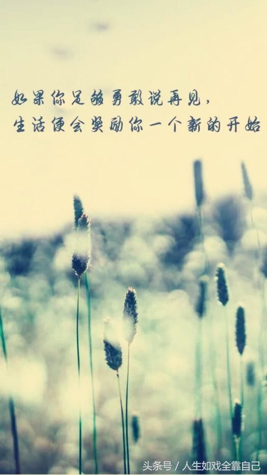 致自己的霸气句子,再痛也要洒脱(致自己)