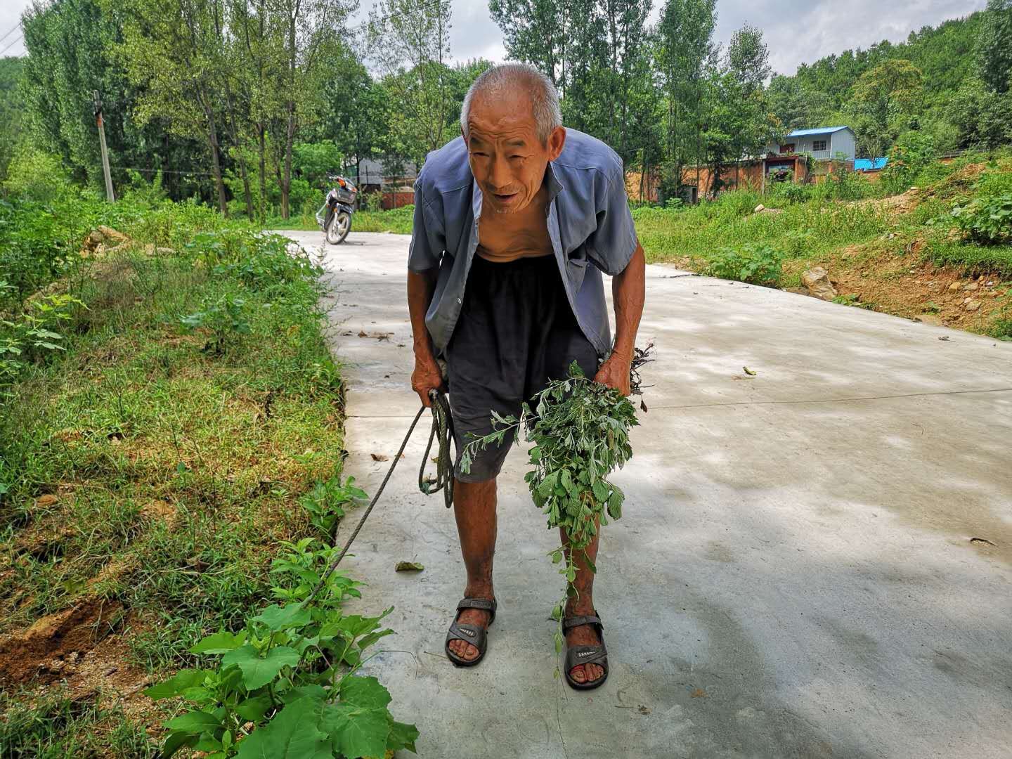 农村89岁的张大爷,家里两个儿子三个闺女为什么还要去地里放牛?