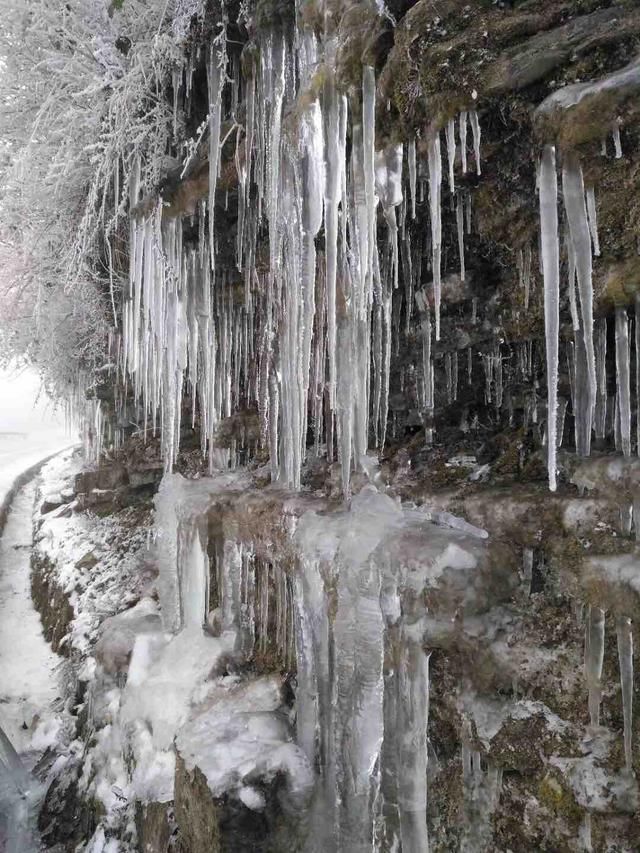 美文:湖北利川齐岳山雪景