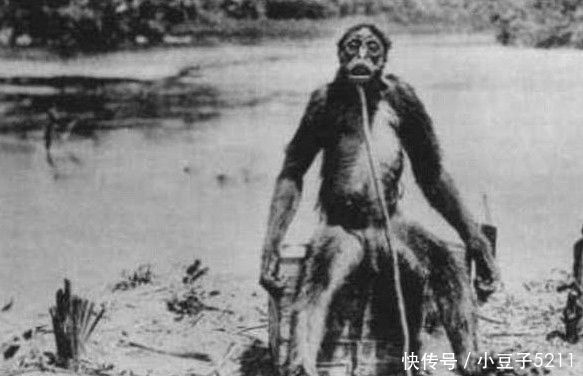 网友揭秘上世纪野人照片 神秘生物再起争议