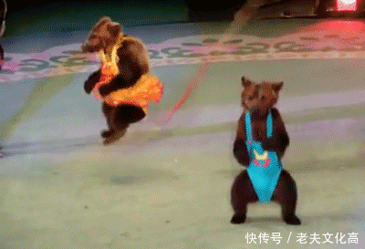 搞笑gif: 喂, 幺幺零吗, 我看见一条在马路上飞驰的鱼