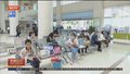 春夏季请警惕这种小虫子 分分钟让你“破相”