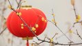 不止许你“团团圆圆” 还要祝你“柿柿如意”