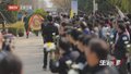 再见 王医生
