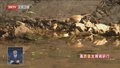 高质量发展调研行：生态修复助河道“新生”
