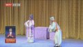 “‘京’彩文化 青春绽放”行动计划文艺行项目启动