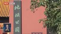 银杏风景“延期” 等您来打卡