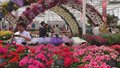 北京花展1300多个新优品种争奇斗艳
