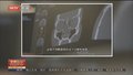 为什么我过敏了？
