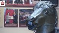 阔别160年 “马首”铜像终于回家啦！