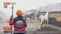 不满政府农产品价格支持方案 印度农民重启抗议活动