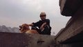 什么样的犬有资格成为搜救犬？