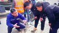 接诉即办：污水反复冒  换管治病根