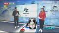 一起看冬奥 “冰上国际象棋”展现静动之美和取舍智慧