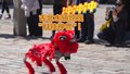 古北水镇惊现"科技神兽"！
