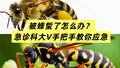 威廉王子好友「吞蜂丧命」！巍子医生教你几招辨蜂种 急救关键动作
