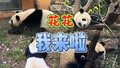 花花~跨越千里就为看你