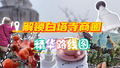 解锁白塔寺商圈精华路线图！胡同里的网红潮流店+十几年的老店融合共生