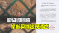 濮阳动物园一旱獭身体出现溃烂 园方：与同类撕咬导致受伤，已接受紧急治疗