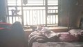 锂电池家中起火 两小孩双双遇难，爷爷不在家 继奶奶独自逃生
