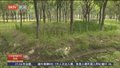 《都市晚高峰》20250603