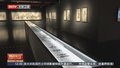 中国古典园林作品展在国家大剧院展出