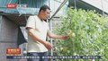 热土育新“甜” 青年村支书夏明朗书写乡村振兴答卷