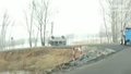 东北方言讲述强行超车危害