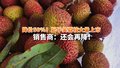 降价50%！妃子笑荔枝大量上市 销售商：还会再降！